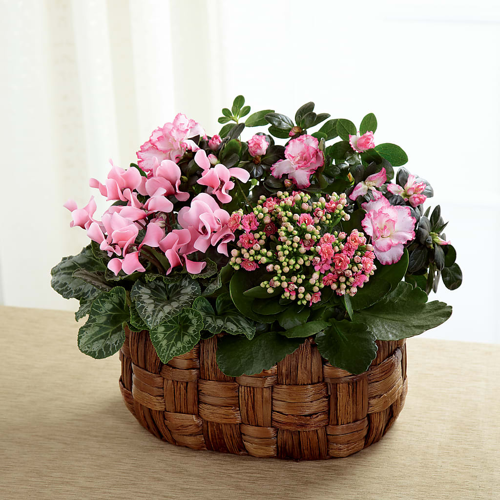 Pink Assortment – LARRY'S FLORIST, Cliffside Park NJ