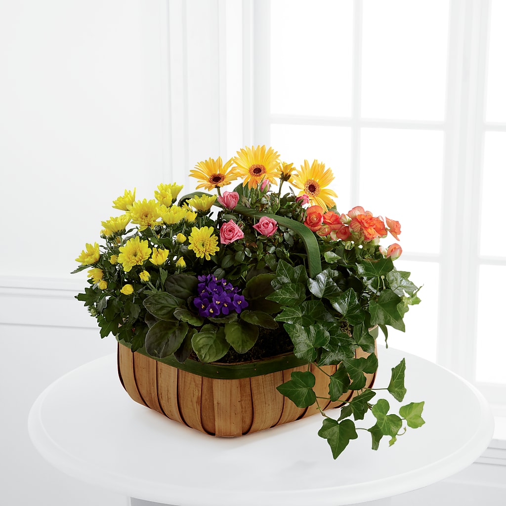 Gentle Blossoms Basket – LARRY'S FLORIST, Cliffside Park NJ