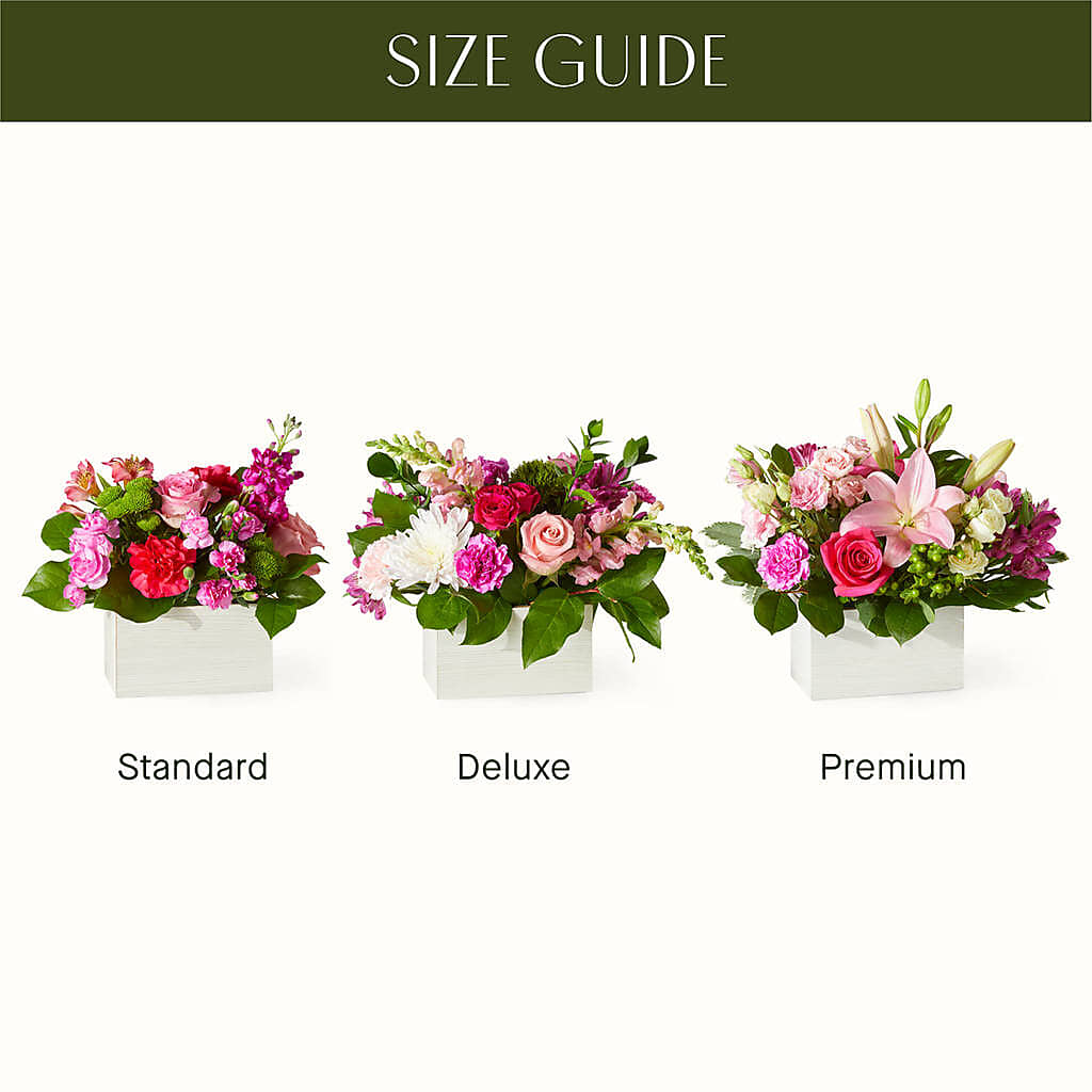 Sweetberry Box – A Florist Original – LARRY'S FLORIST, Cliffside Park NJ