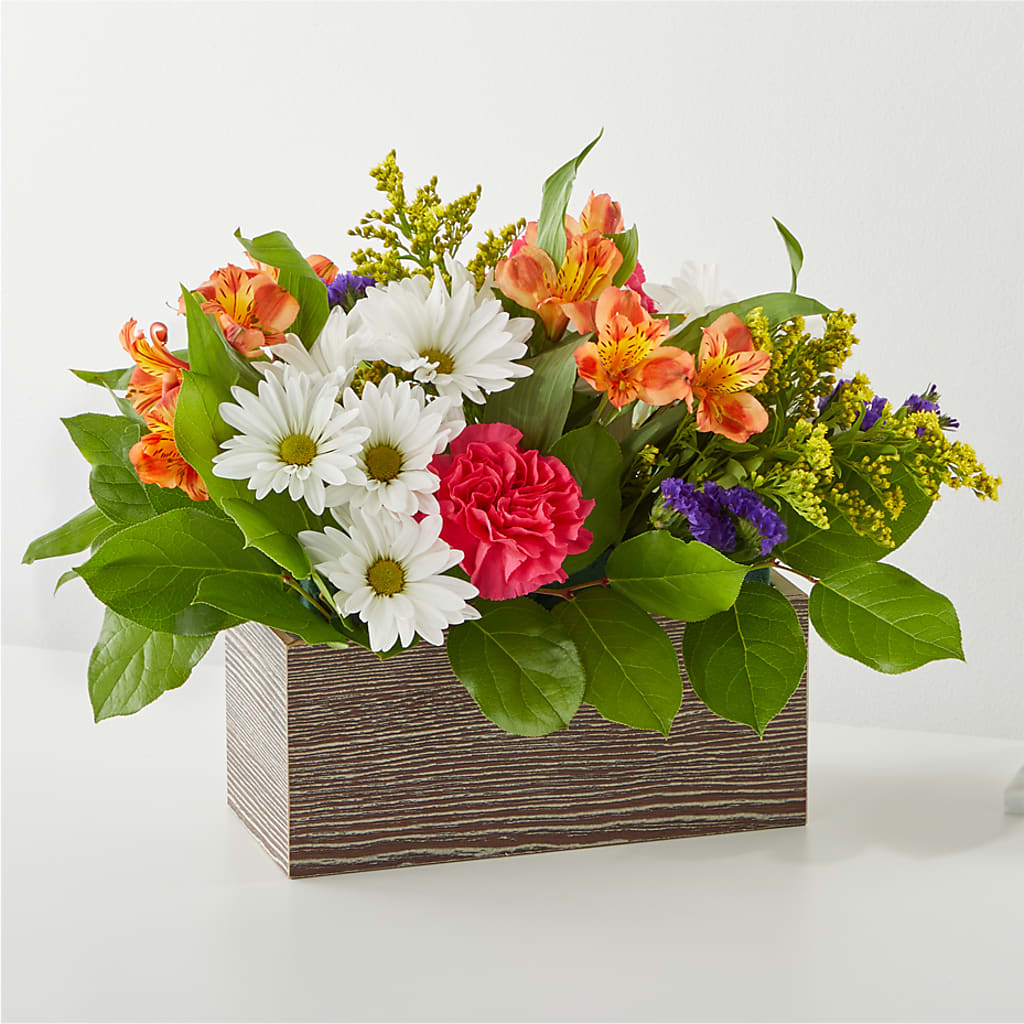 Oopsie Daisy Box Bouquet – LARRY'S FLORIST, Cliffside Park NJ