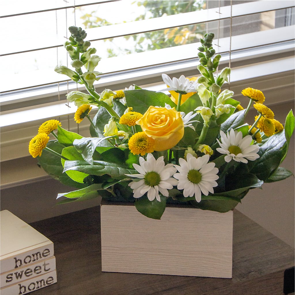 Sun Salutation Box Bouquet – LARRY'S FLORIST, Cliffside Park NJ