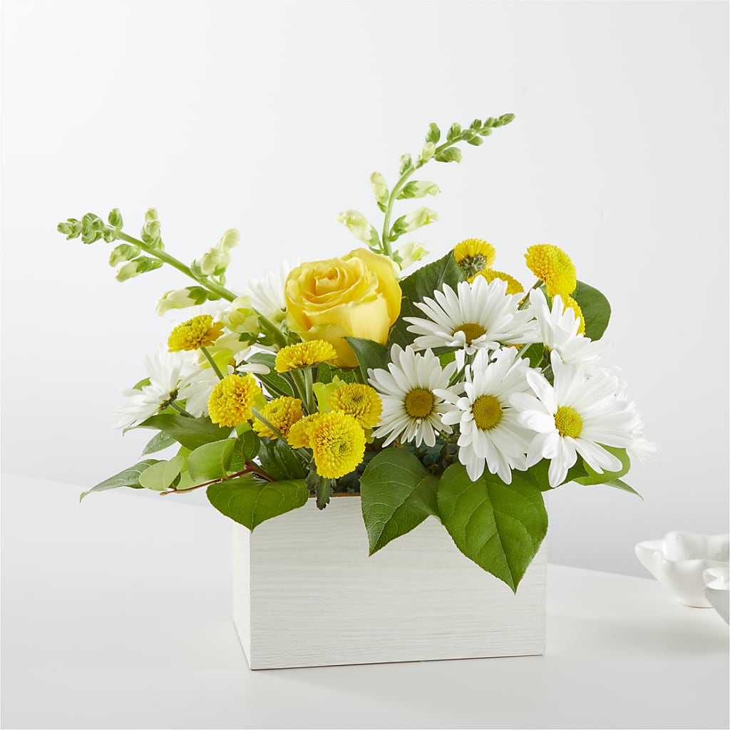 Sun Salutation Box Bouquet – LARRY'S FLORIST, Cliffside Park NJ