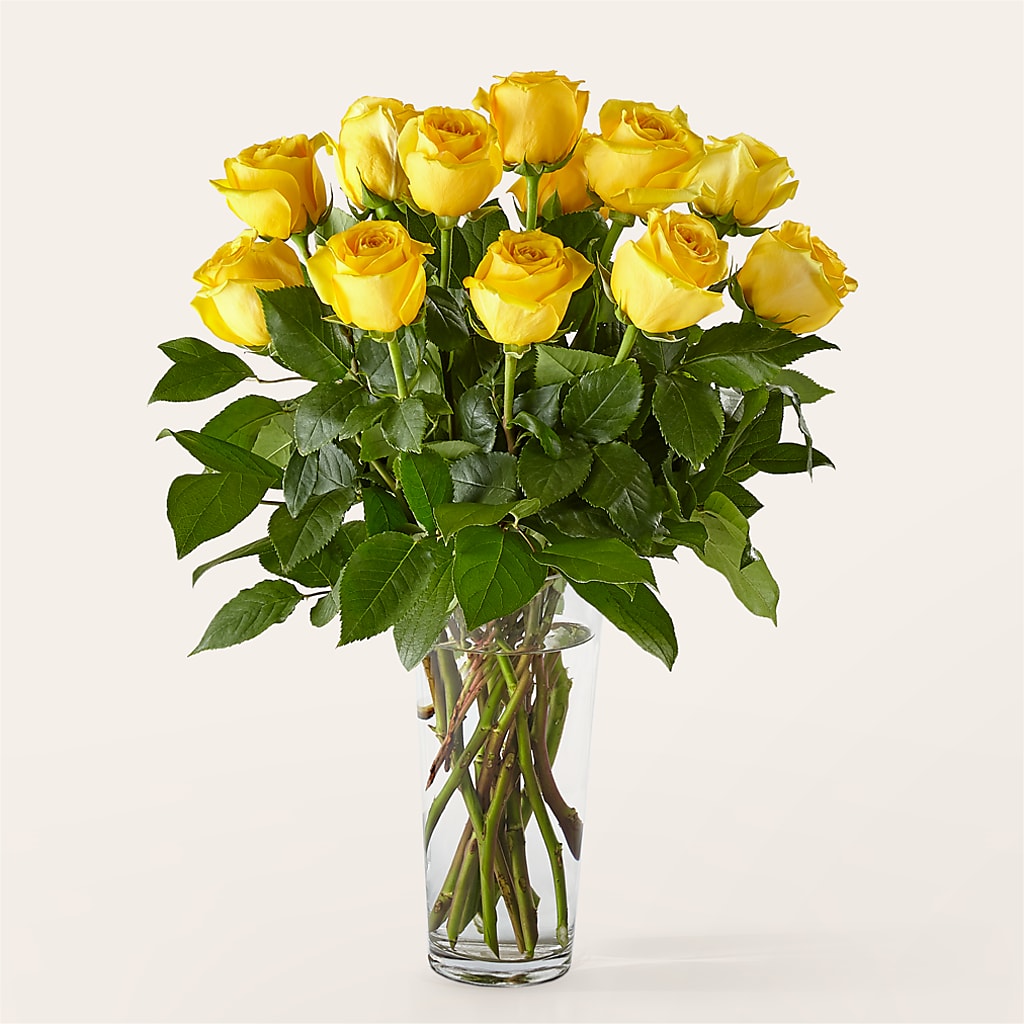 Long Stem Yellow Rose Bouquet – LARRY'S FLORIST, Cliffside Park NJ