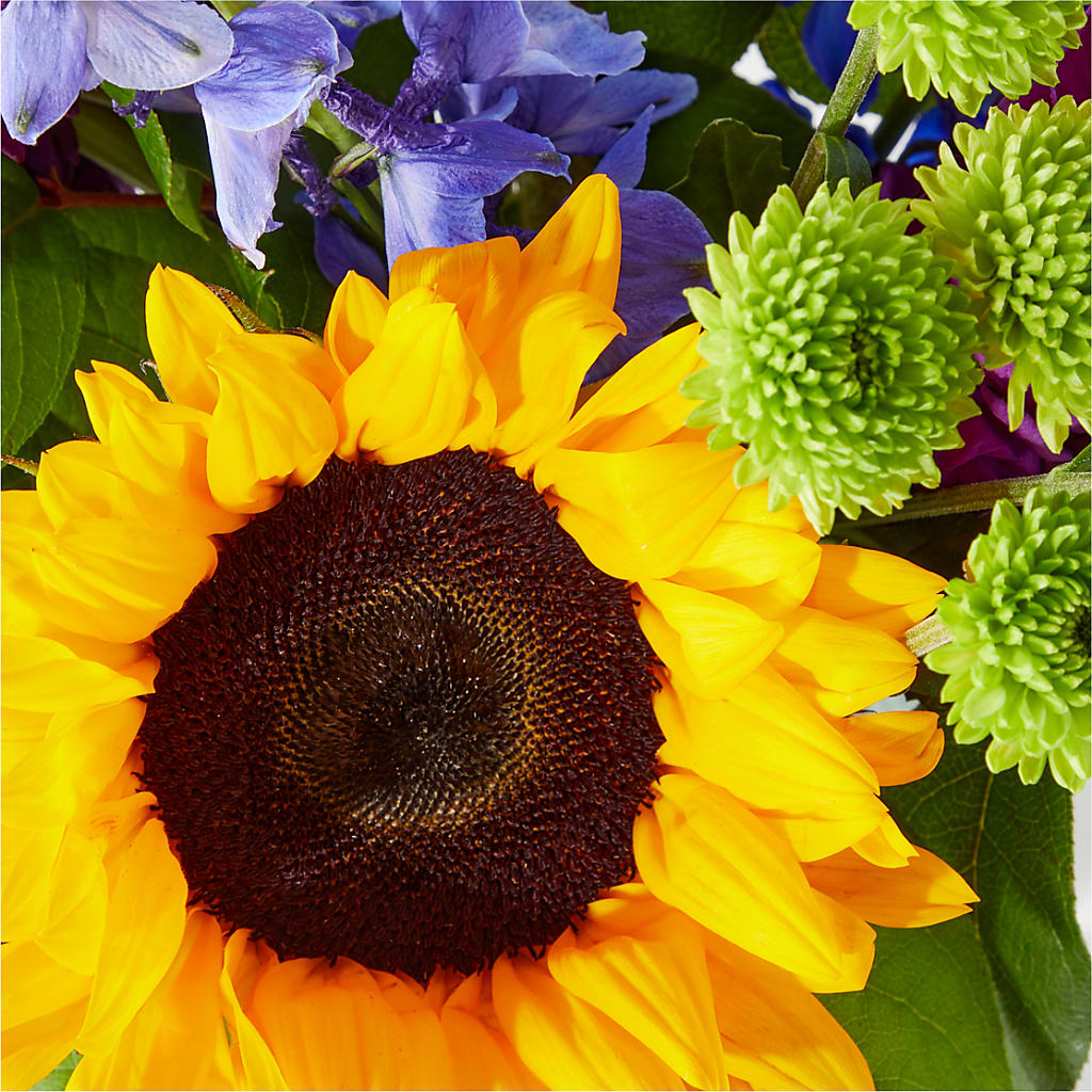 Catching Rays Bouquet – LARRY'S FLORIST, Cliffside Park NJ