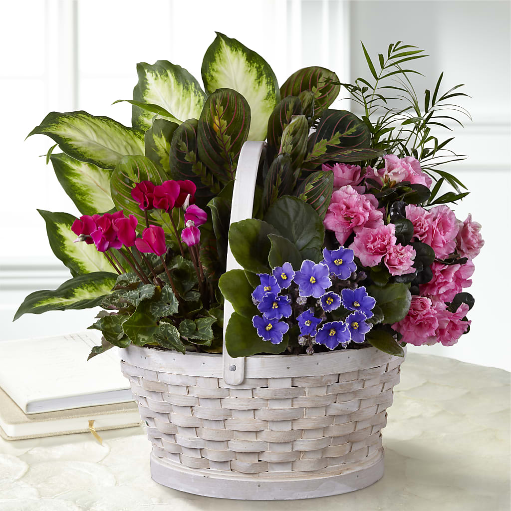 Peaceful Garden Planter – LARRY'S FLORIST, Cliffside Park NJ