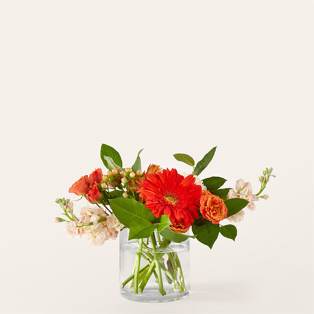 Paloma Please Bouquet – LARRY'S FLORIST, Cliffside Park NJ