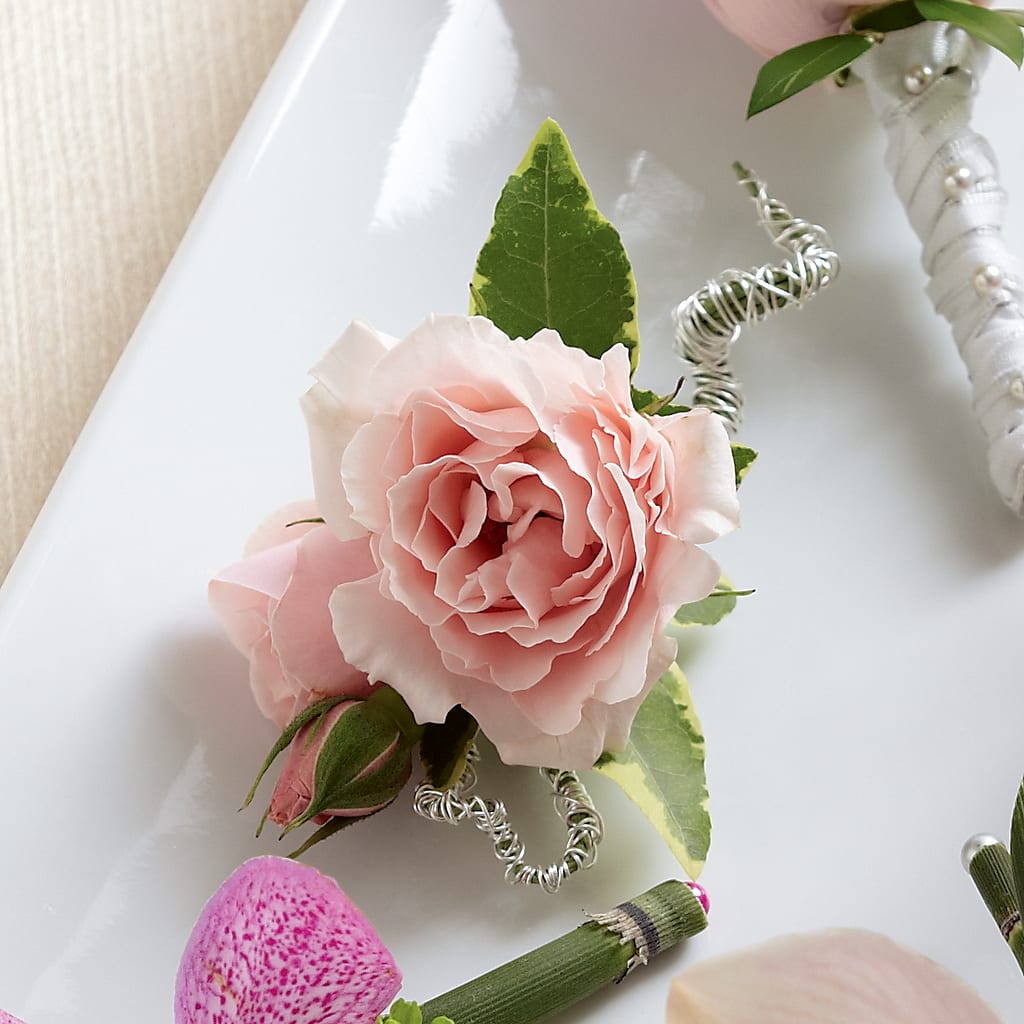 Pink Spray Rose Boutonniere – LARRY'S FLORIST, Cliffside Park NJ