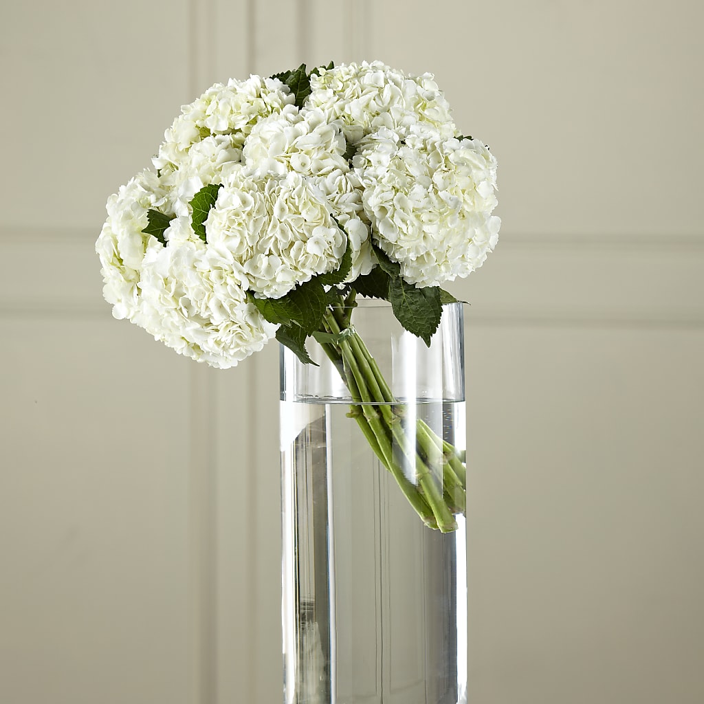 White Hydrangea Hand-Tied Bouquet – LARRY'S FLORIST, Cliffside Park NJ