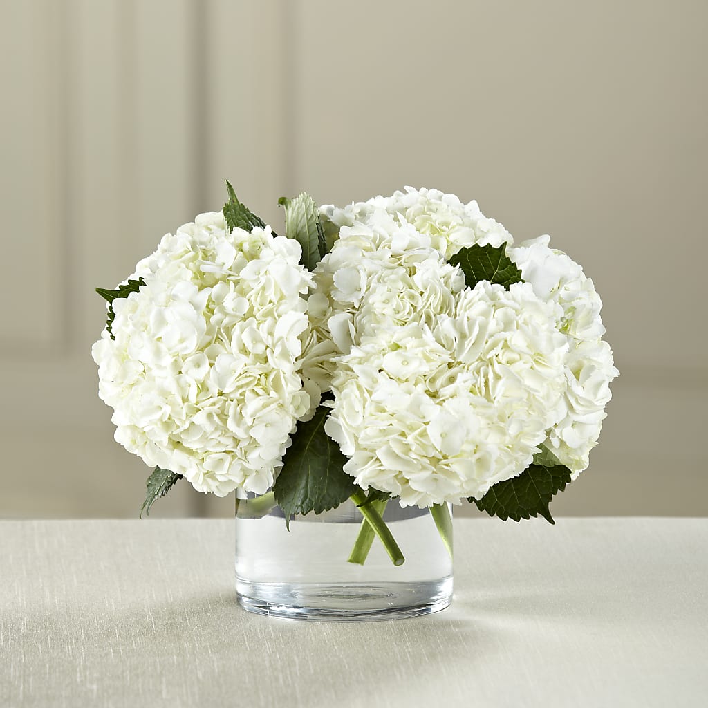White Hydrangea Bouquet – LARRY'S FLORIST, Cliffside Park NJ