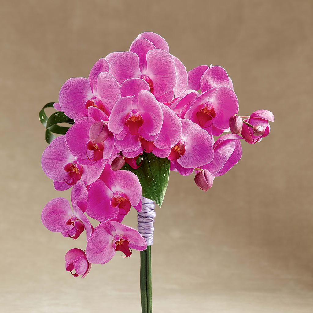 Glorious Bouquet – LARRY'S FLORIST, Cliffside Park NJ