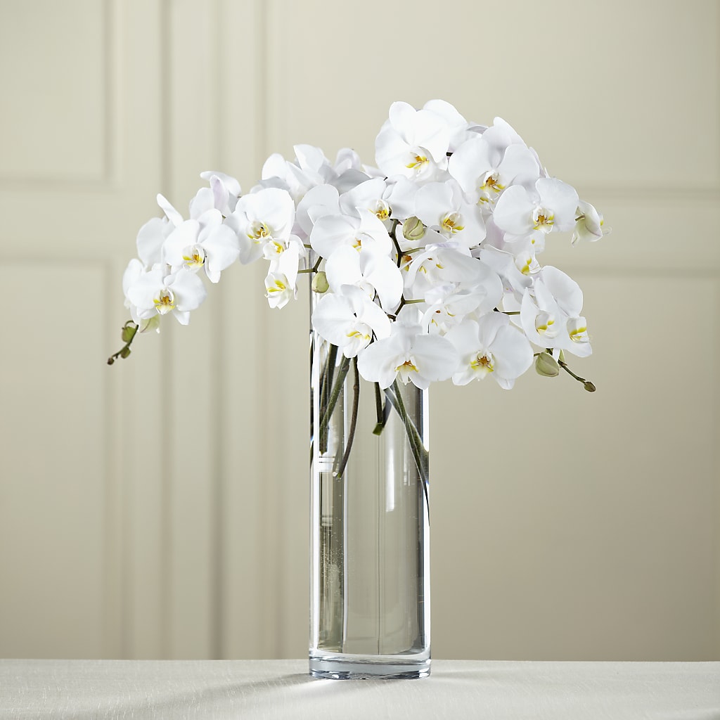 White Phalaenopsis Bouquet – LARRY'S FLORIST, Cliffside Park NJ