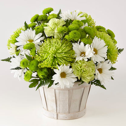Lucky Charm Basket (Standard) – LARRY'S FLORIST, Cliffside Park NJ
