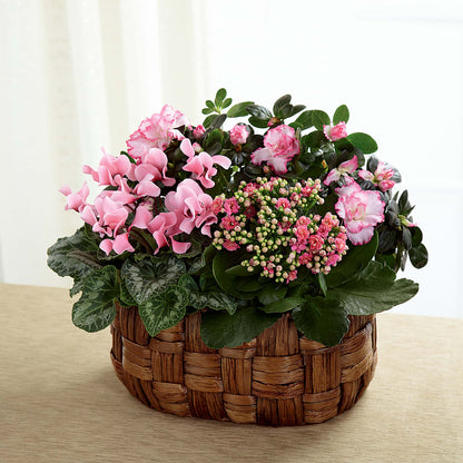 Pink Assortment – LARRY'S FLORIST, Cliffside Park NJ