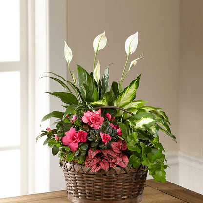 Dream in Pink Dishgarden – LARRY'S FLORIST, Cliffside Park NJ