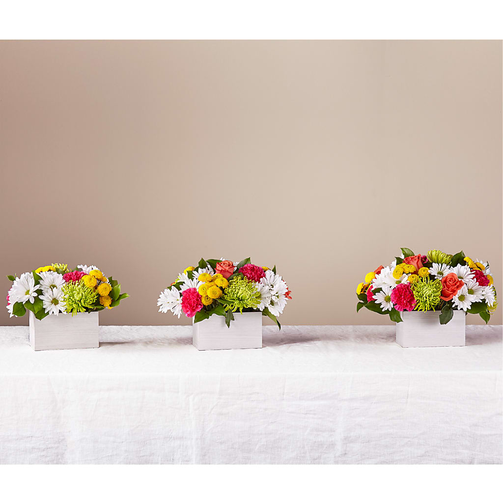 Sorbet Bouquet – LARRY'S FLORIST, Cliffside Park NJ