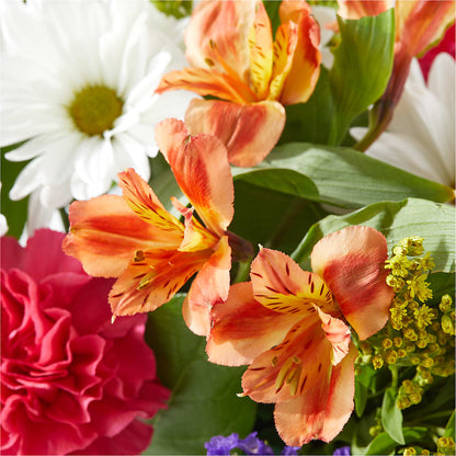 Oopsie Daisy Box Bouquet – LARRY'S FLORIST, Cliffside Park NJ