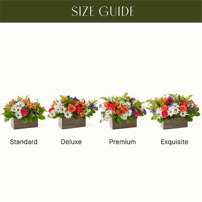 Oopsie Daisy Box Bouquet – LARRY'S FLORIST, Cliffside Park NJ