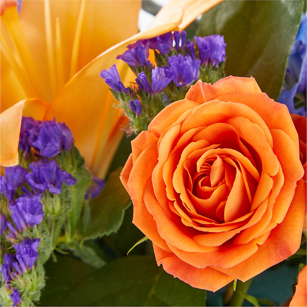 Radiant Citrus Box Bouquet – LARRY'S FLORIST, Cliffside Park NJ
