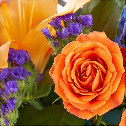 Radiant Citrus Box Bouquet – LARRY'S FLORIST, Cliffside Park NJ