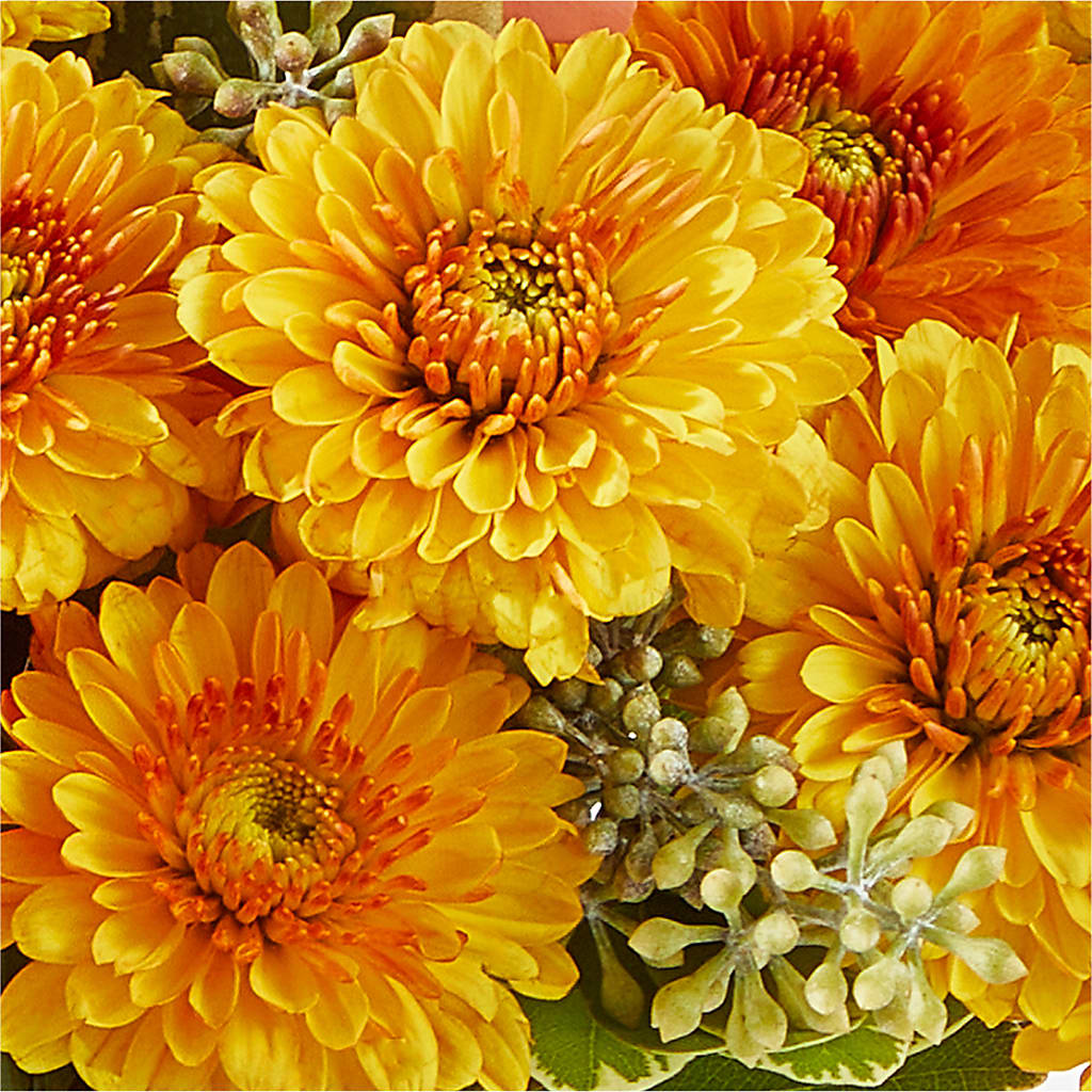 Peachy Pumpkin – LARRY'S FLORIST, Cliffside Park NJ