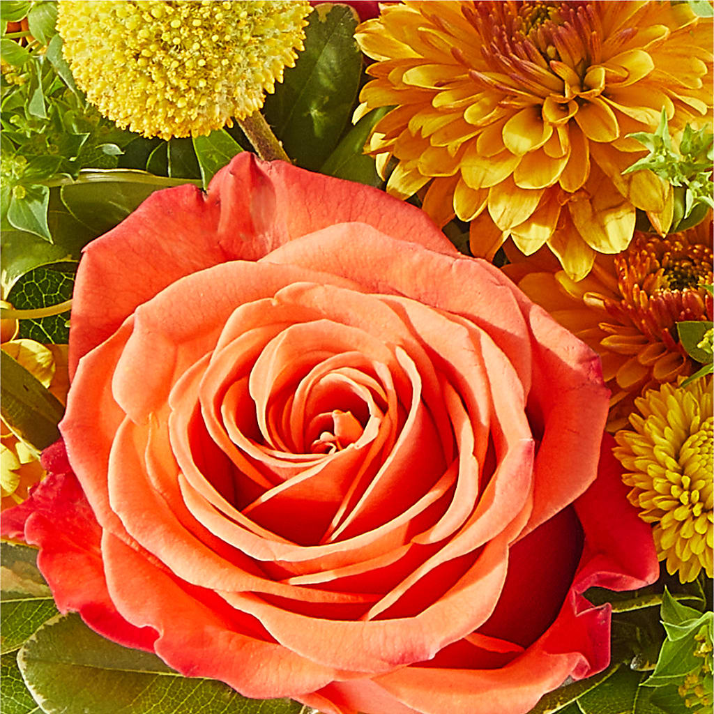 Gourdgeous Pumpkin – LARRY'S FLORIST, Cliffside Park NJ