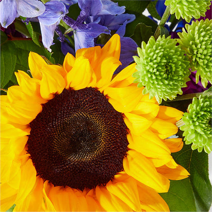Catching Rays Bouquet – LARRY'S FLORIST, Cliffside Park NJ