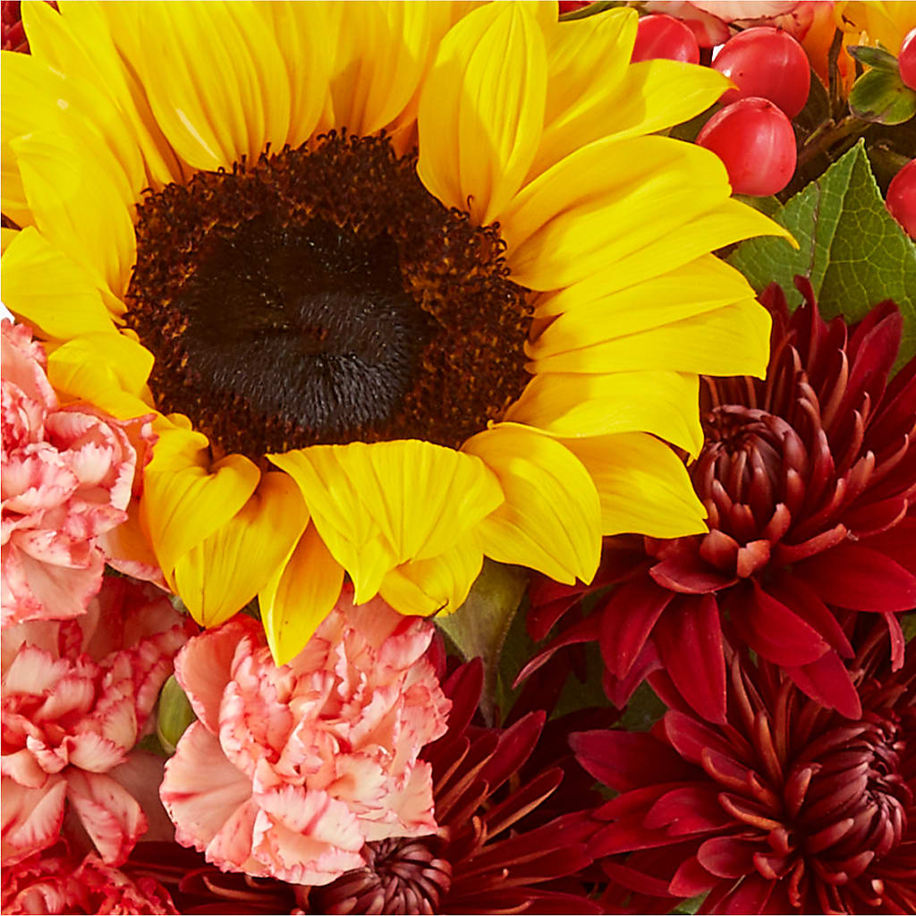 Fresh Cider Bouquet – LARRY'S FLORIST, Cliffside Park NJ