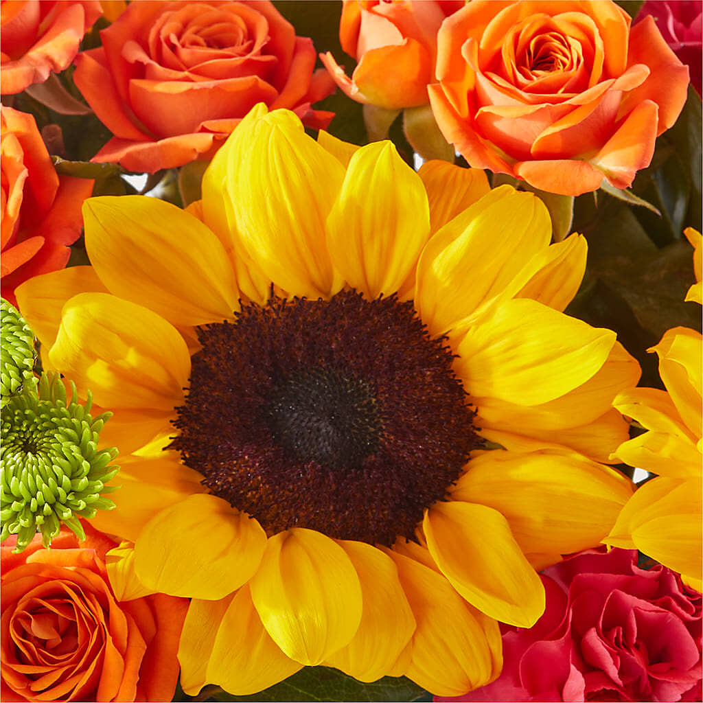 Sun-drenched Blooms Box Bouquet – LARRY'S FLORIST, Cliffside Park NJ