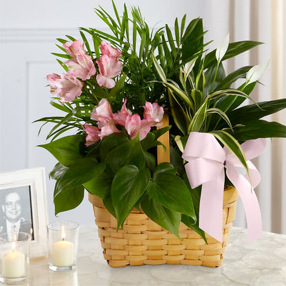 Living Spirit Dishgarden – LARRY'S FLORIST, Cliffside Park NJ