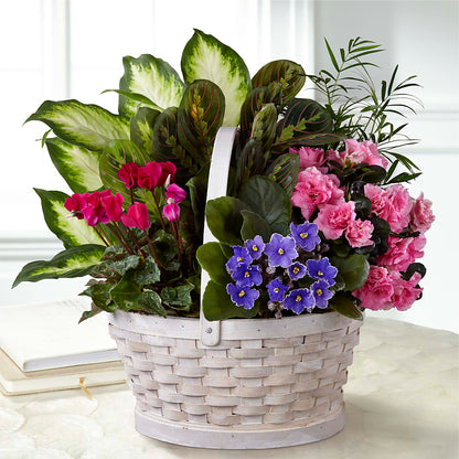 Peaceful Garden Planter – LARRY'S FLORIST, Cliffside Park NJ