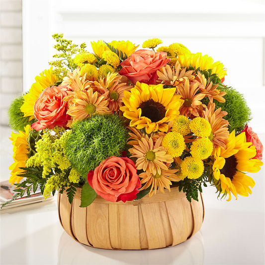 Harvest Sunflower Basket – LARRY'S FLORIST, Cliffside Park NJ
