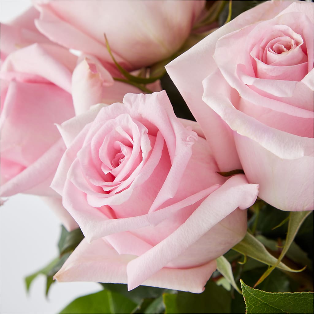 Picture Perfect Pink Rose Bouquet – LARRY'S FLORIST, Cliffside Park NJ