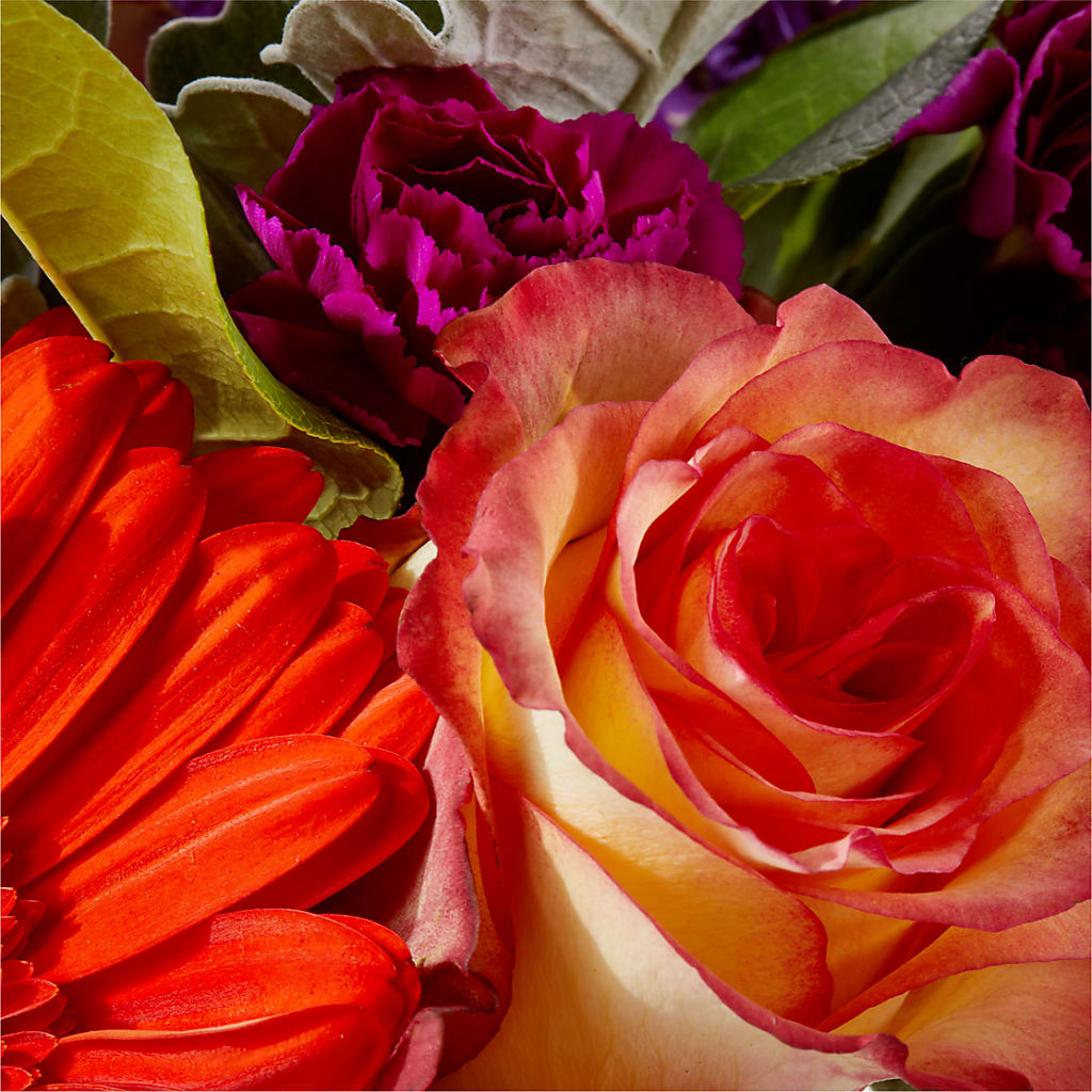 Sangria Bouquet – LARRY'S FLORIST, Cliffside Park NJ