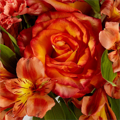 Apricot Glow Bouquet – LARRY'S FLORIST, Cliffside Park NJ