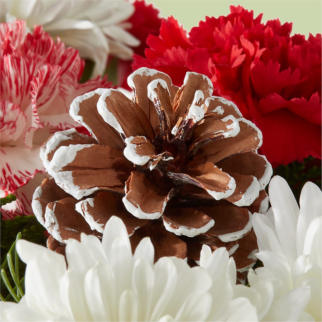 Candy Cane Lane Bouquet – LARRY'S FLORIST, Cliffside Park NJ
