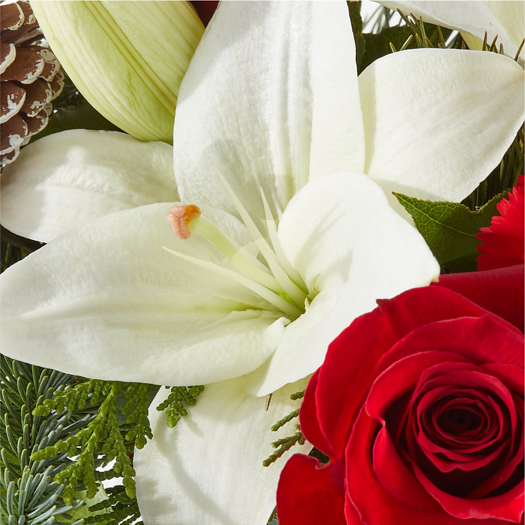 Oh So Jolly Bouquet – LARRY'S FLORIST, Cliffside Park NJ