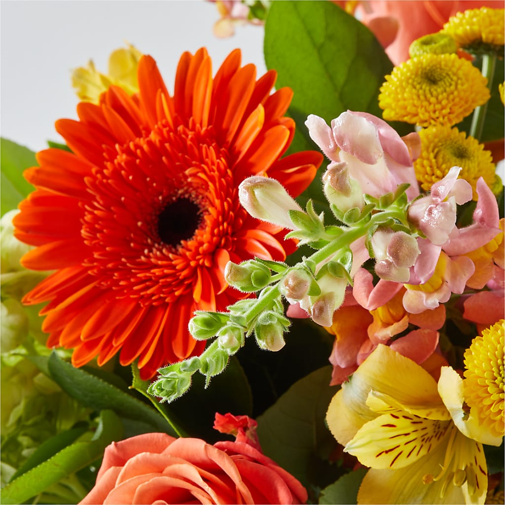 Autumn Sunshine Bouquet – LARRY'S FLORIST, Cliffside Park NJ