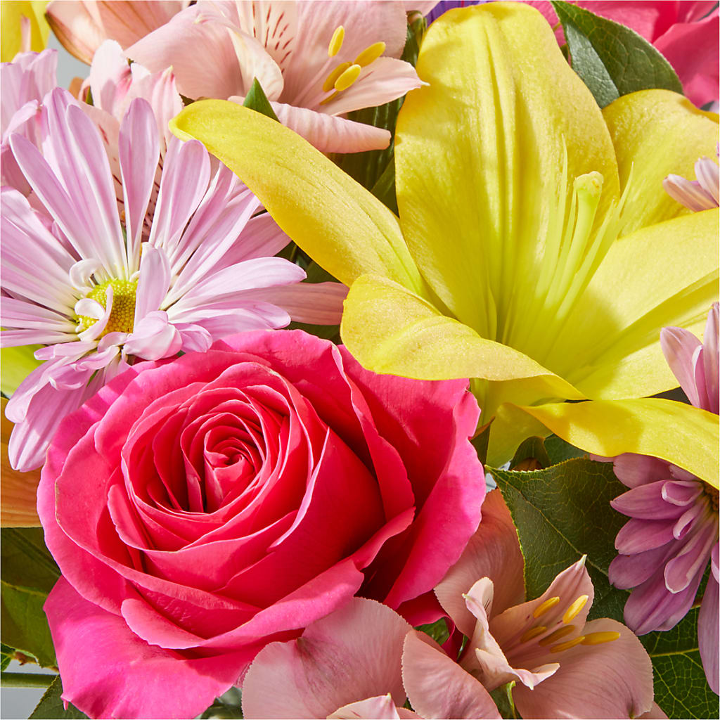 Sprinkles Bouquet – LARRY'S FLORIST, Cliffside Park NJ