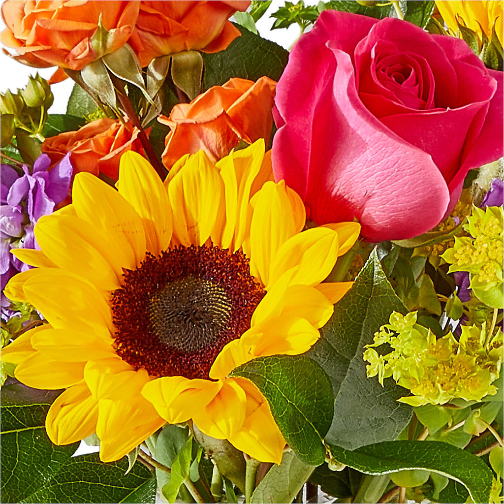 Vibrant Greetings Bouquet – LARRY'S FLORIST, Cliffside Park NJ