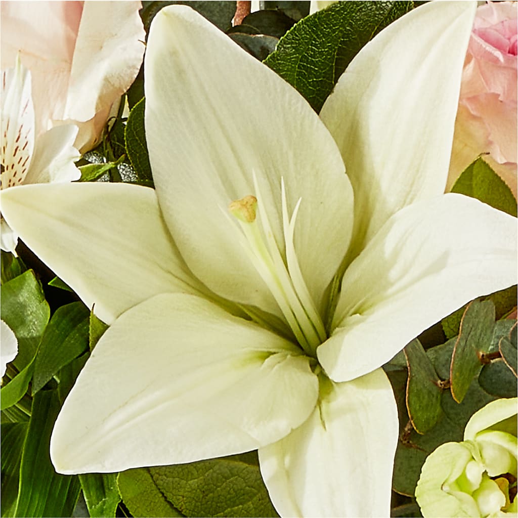 Ballet Slippers Bouquet – LARRY'S FLORIST, Cliffside Park NJ