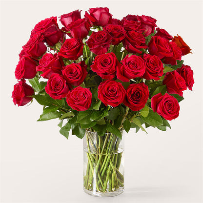 The One Red Rose Bouquet – LARRY'S FLORIST, Cliffside Park NJ