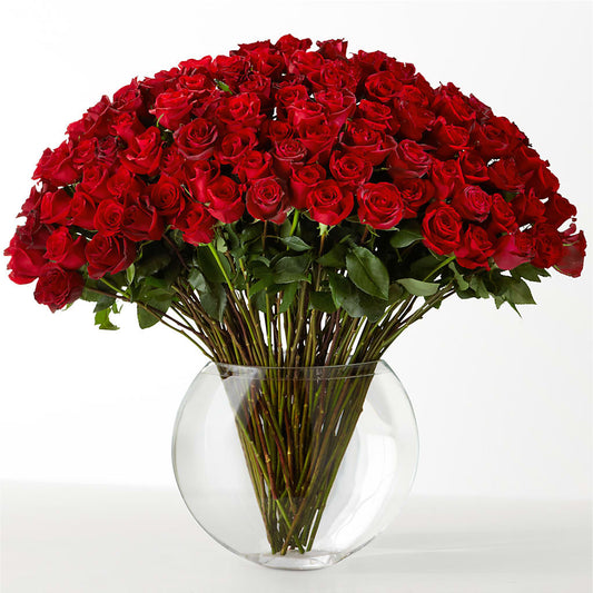 The Idealist – LARRY'S FLORIST, Cliffside Park NJ