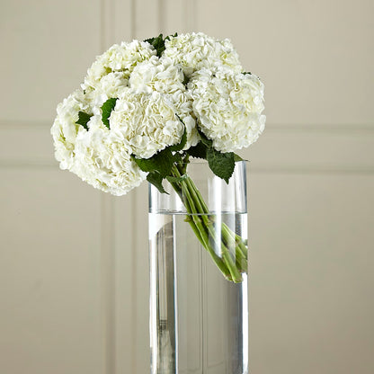 White Hydrangea Hand-Tied Bouquet – LARRY'S FLORIST, Cliffside Park NJ
