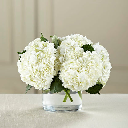 White Hydrangea Bouquet – LARRY'S FLORIST, Cliffside Park NJ